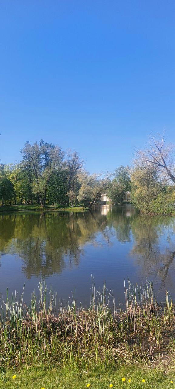 Без названия. Фото. Пейзажи.