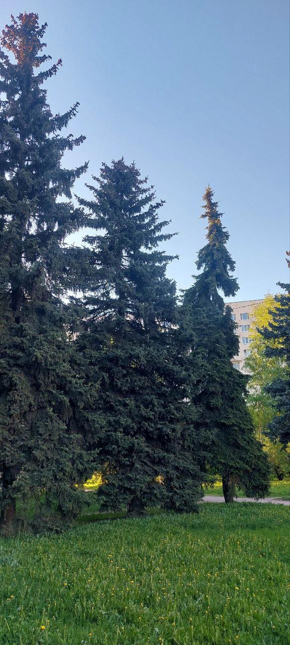 Без названия. Фото. Пейзажи.