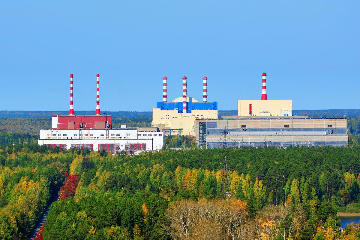 Вики, 2019й год<br>