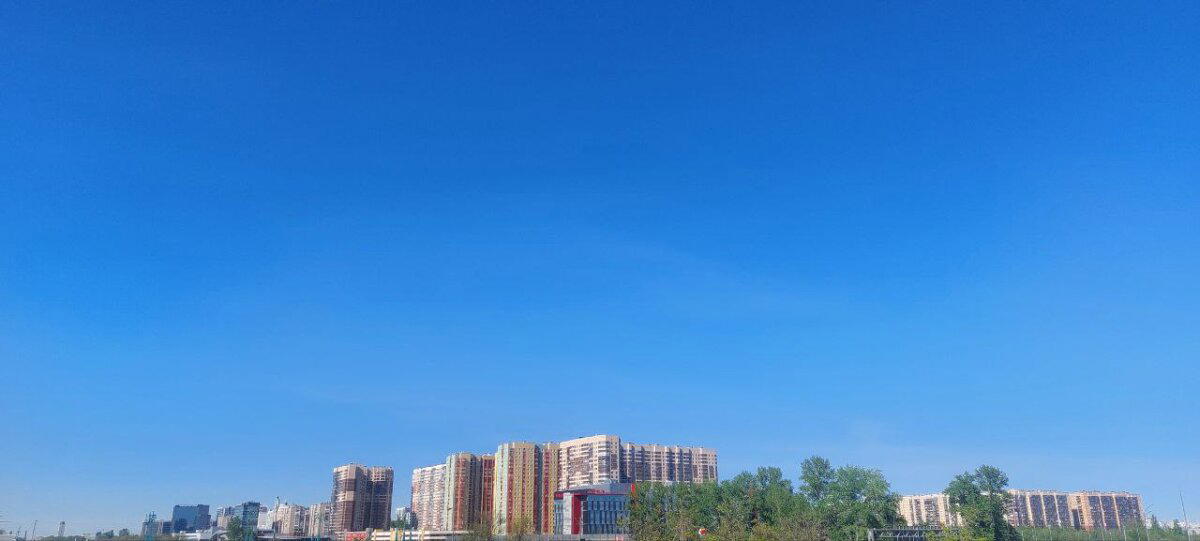 Цветём и пахнем. Фото.