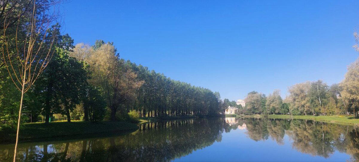 Цветём и пахнем. Фото.