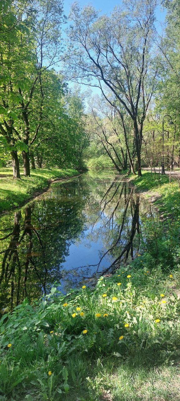 Зимой такого не встретишь. Фото.