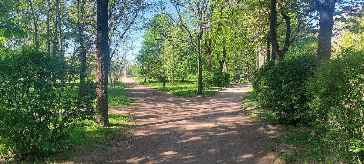 Зимой такого не встретишь. Фото.