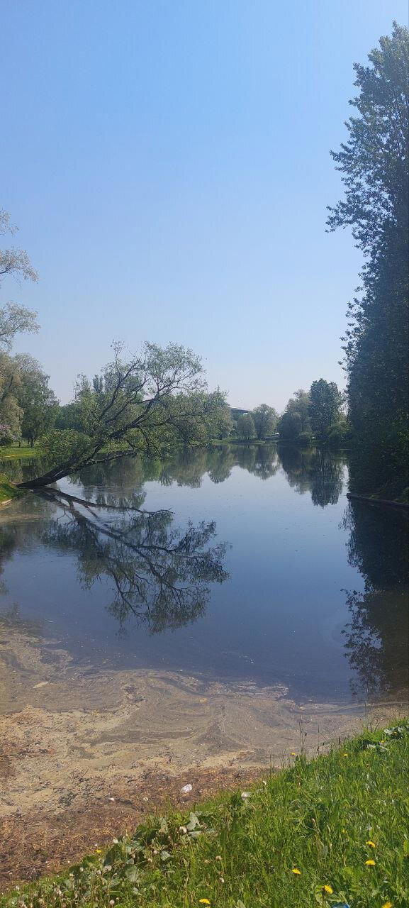 Мир. Труд. Май. Фото.