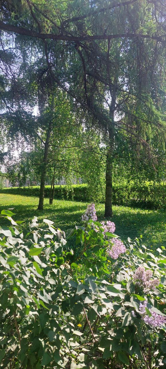 Мир. Труд. Май. Фото.