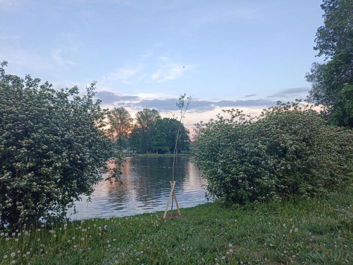 Краски и цвета. Фото.