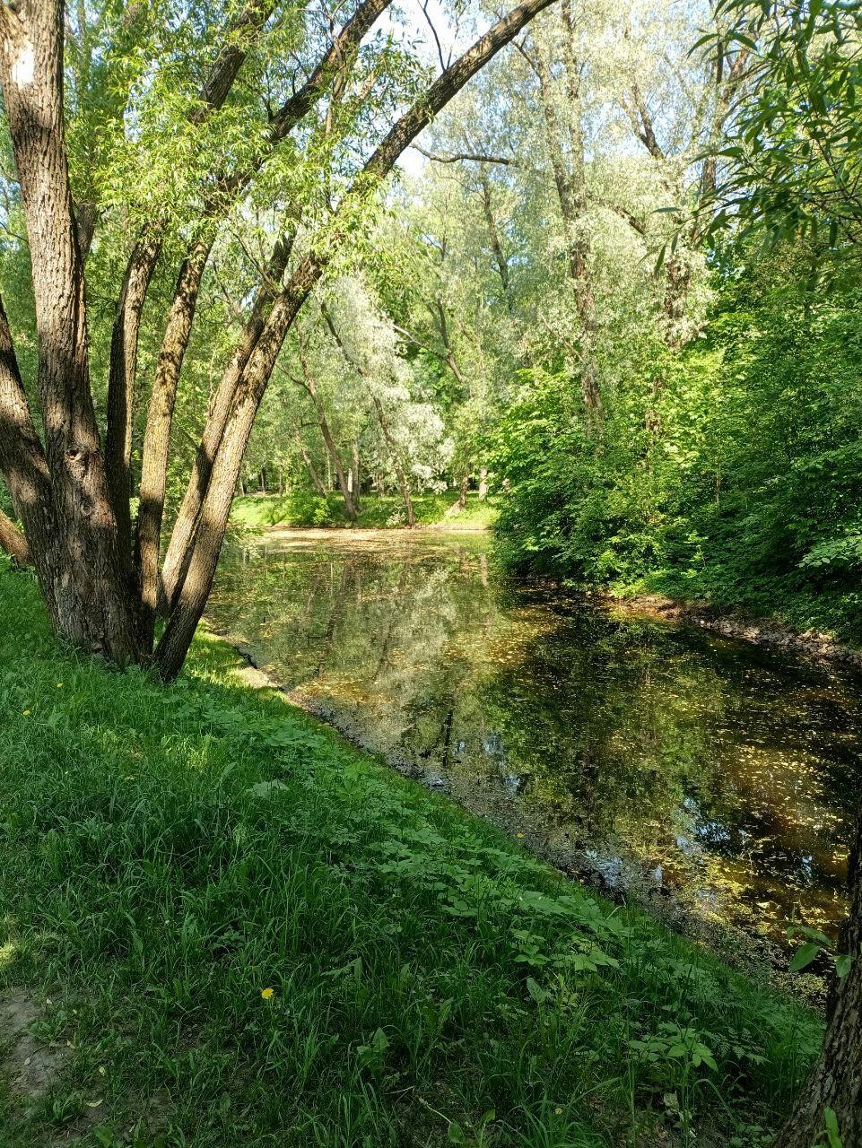 Краски и цвета. Фото.