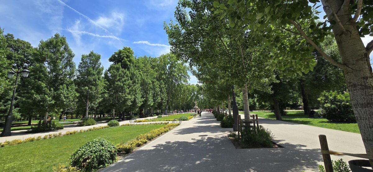 Аллея очень красивая, ухоженная и ведет прямо к центральному пруду