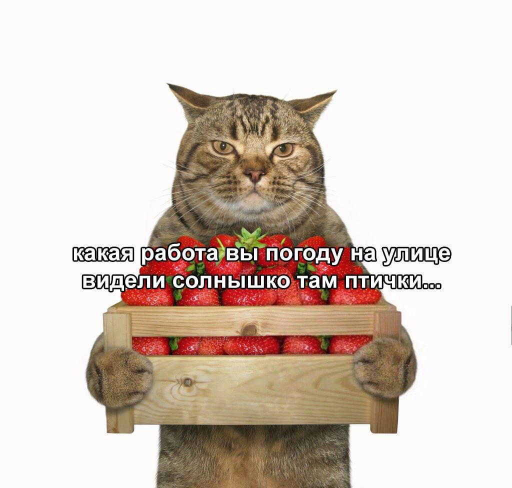 Все офисные трудяги сегодня такие: