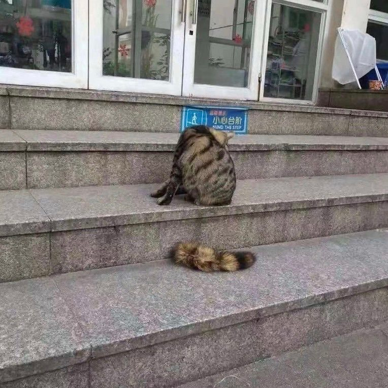 Отвалилось