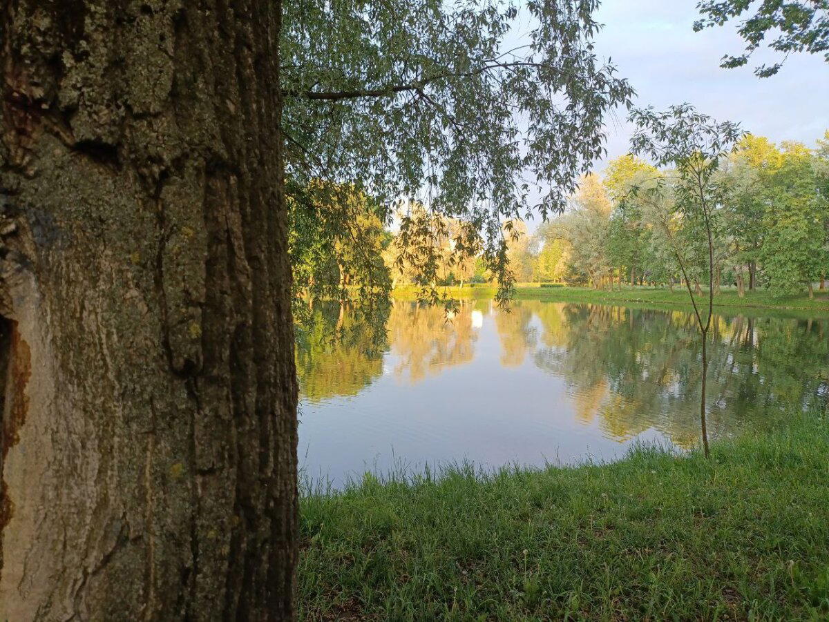 Всяко разно, это всё заразно. Фото. Пейзажи.