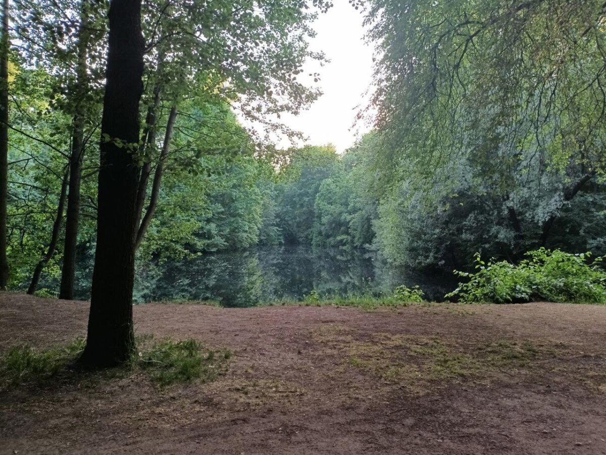 Всяко разно, это всё заразно. Фото. Пейзажи.