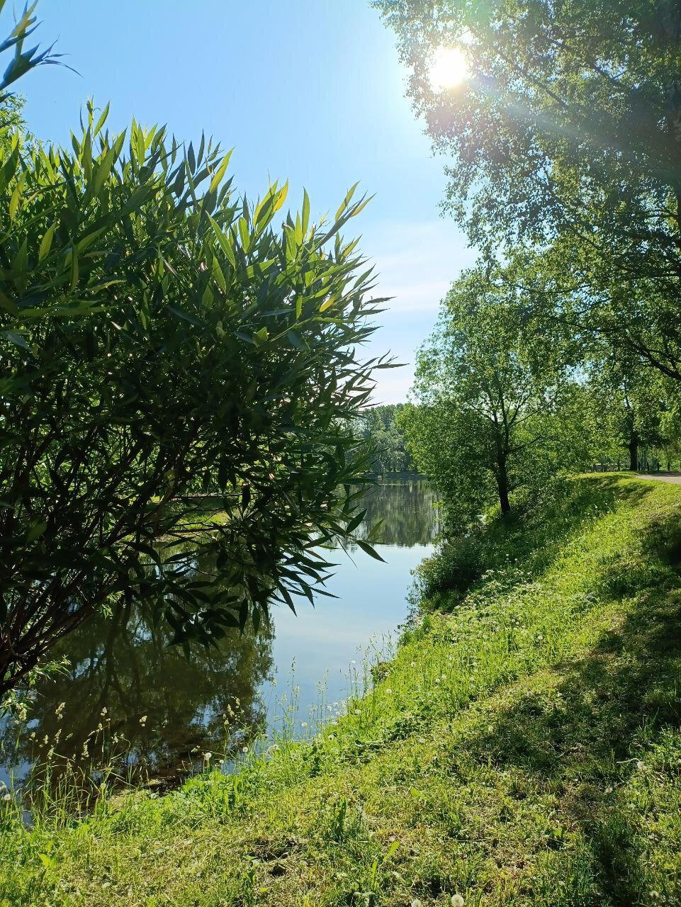 Всяко разно, это всё заразно. Фото. Пейзажи.