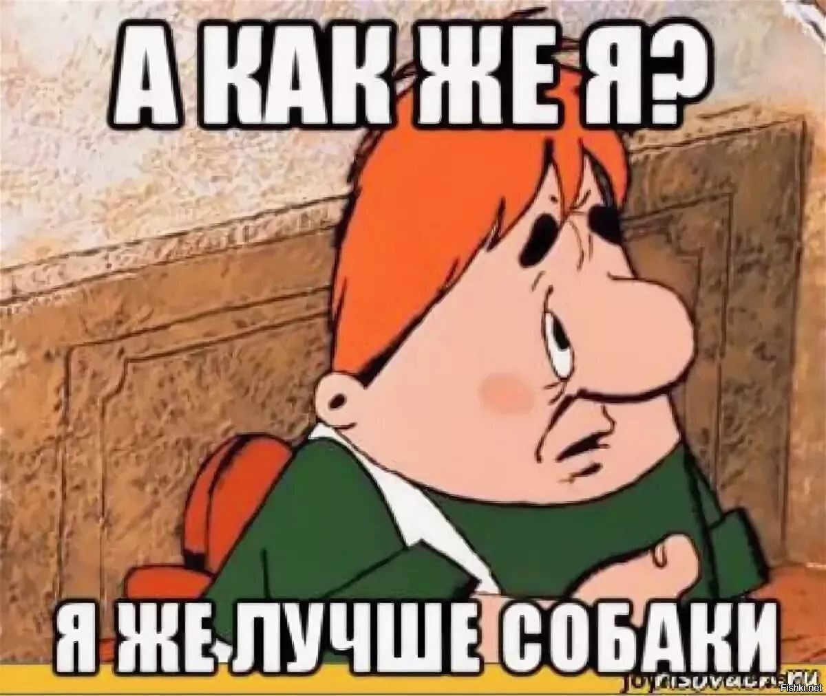 😿 Это Наташа. Вместо двеннадцати котов, она завела одну собаку. Зато КАКУЮ!