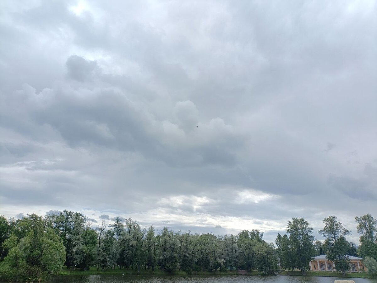 Вода и солнце, день чудесный. Фото.