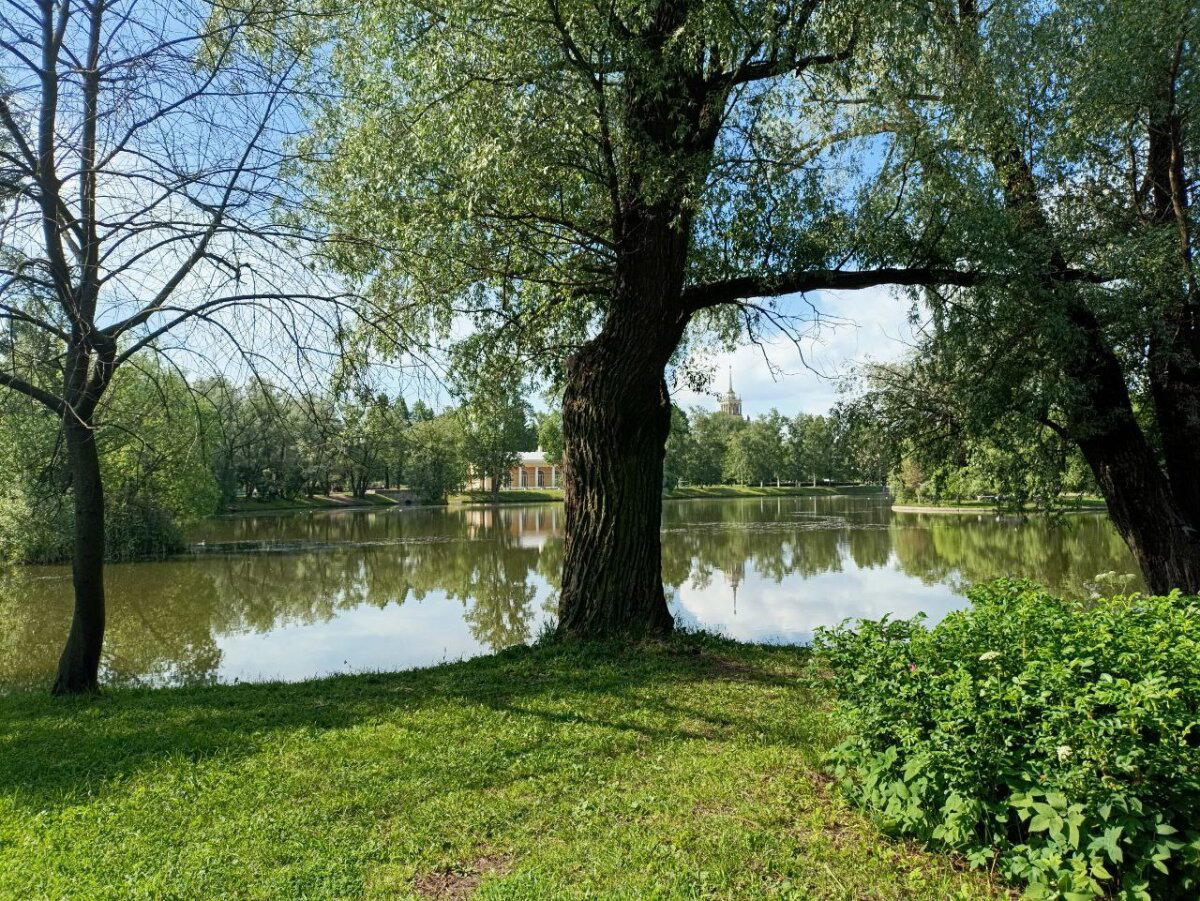 Вода и солнце, день чудесный. Фото.