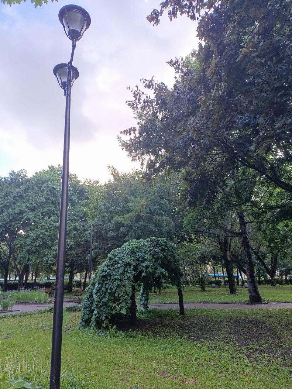 Вода и солнце, день чудесный. Фото.