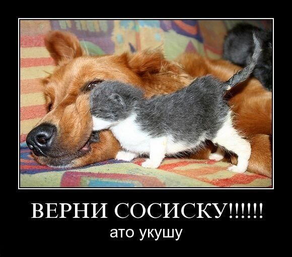 Демотиваторы