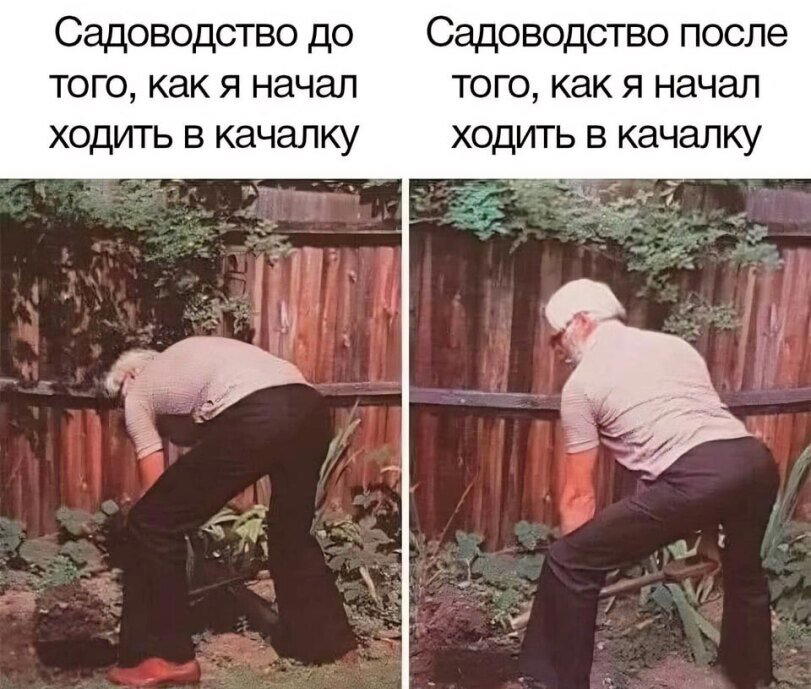 Миядзаки-сан