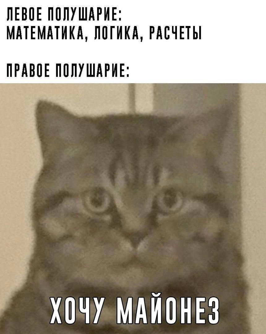 Хочу майонез!