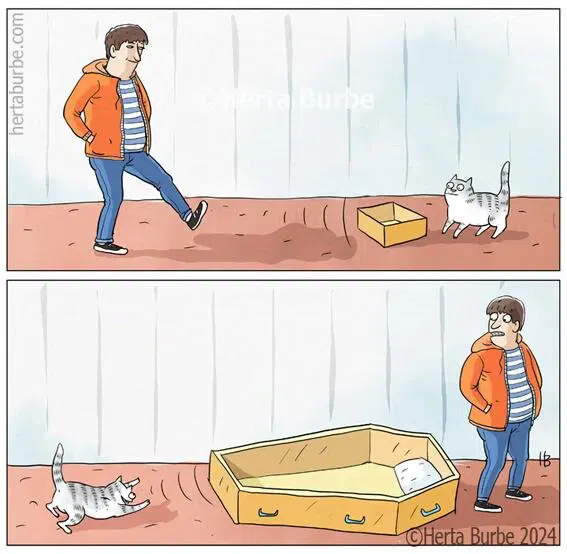 Коробка