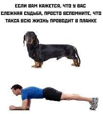 Купить абонемент и никогда не ходить