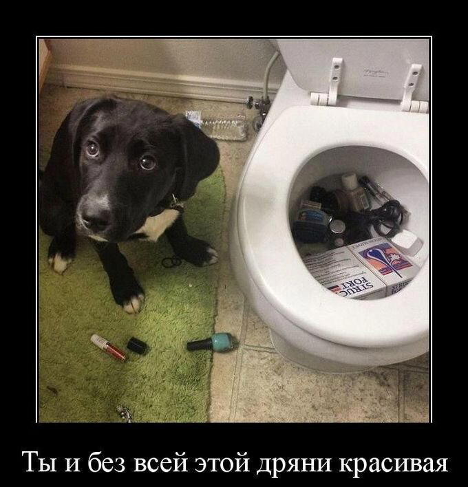 Демотиваторы
