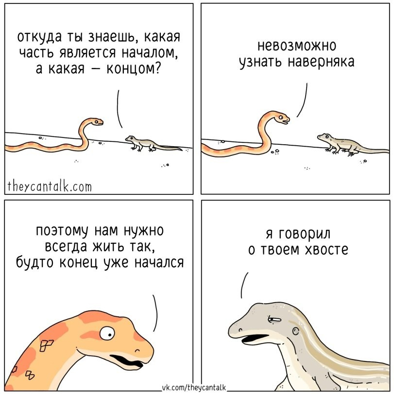 Хвост
