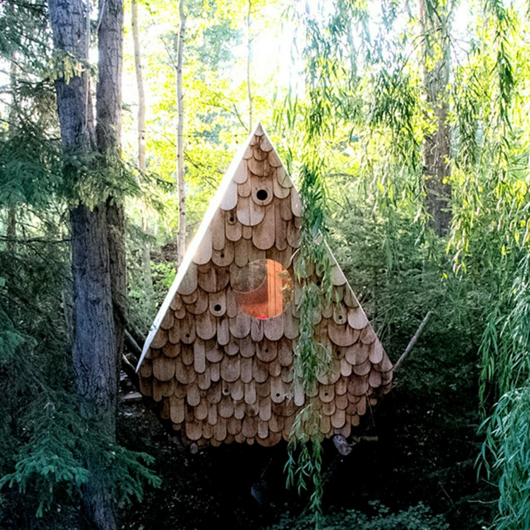 The birdhut - площадью 9 квадратов на лесистом склоне в горах Британской Колумбии