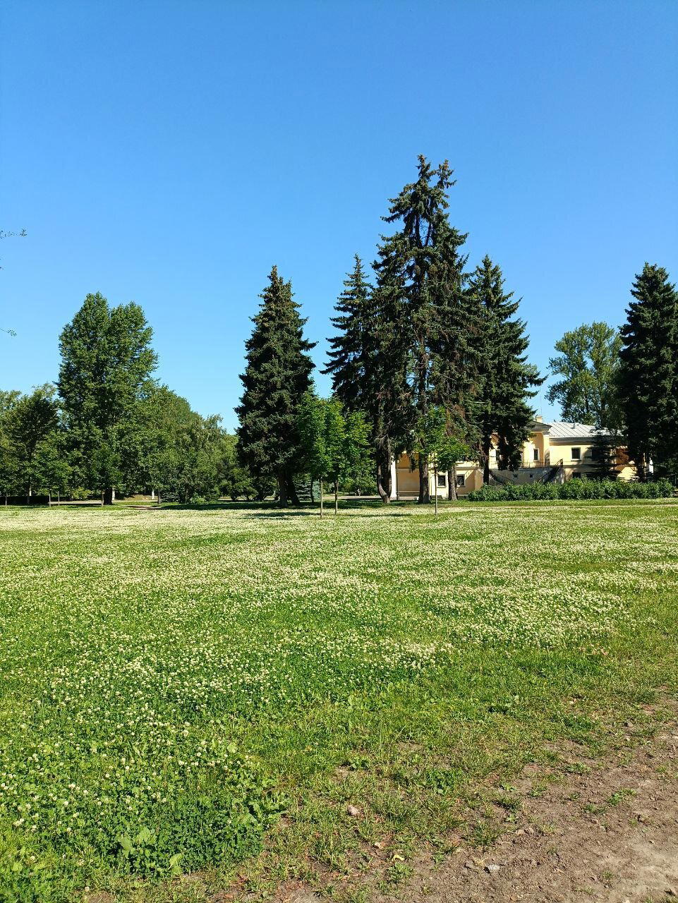 Купаюсь в зелени. Фото.