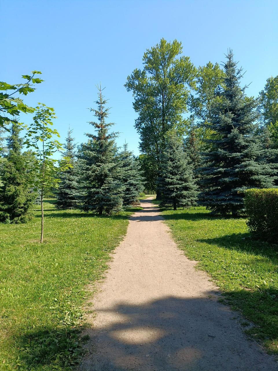 Купаюсь в зелени. Фото.