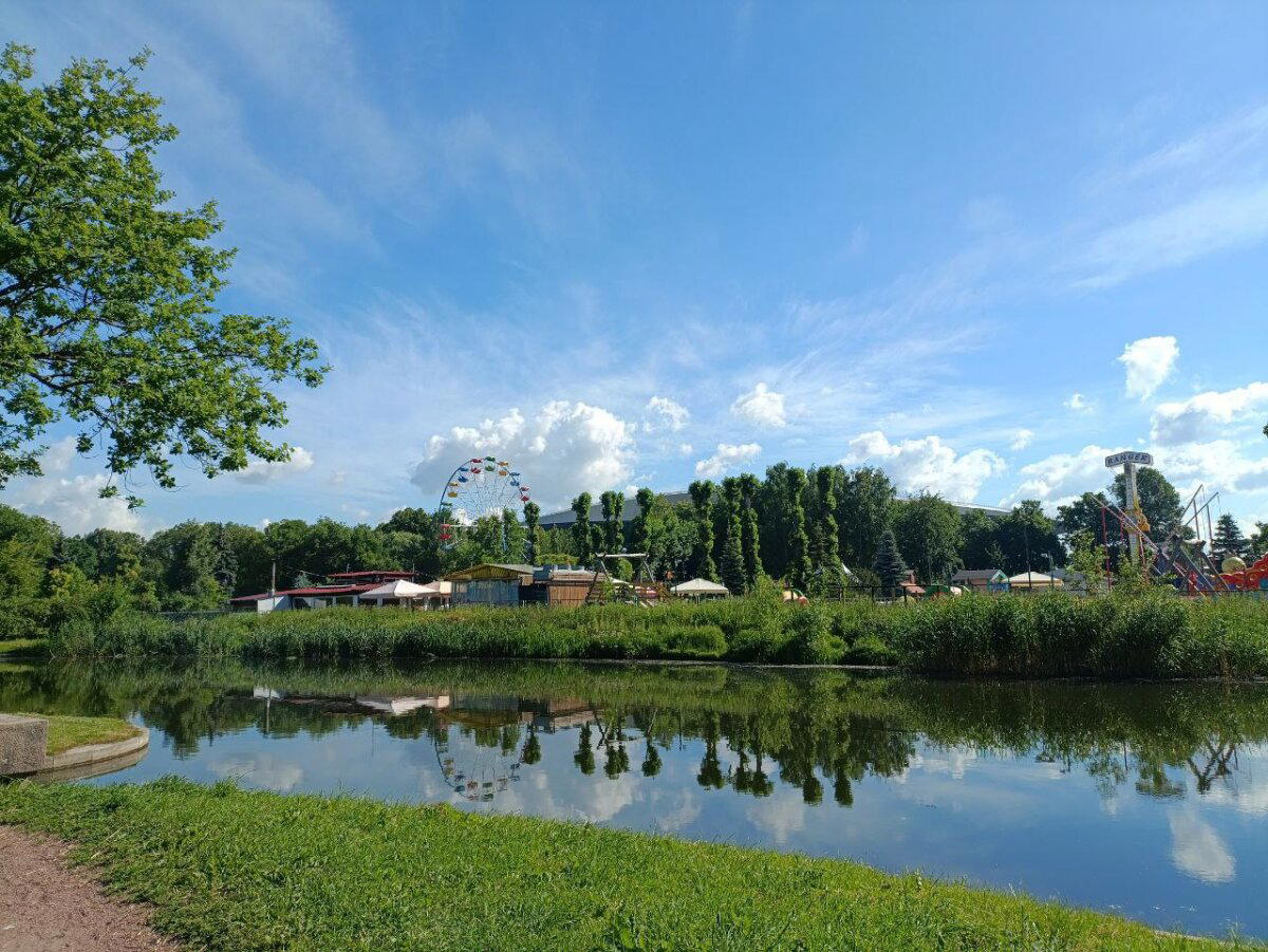 Купаюсь в зелени. Фото.