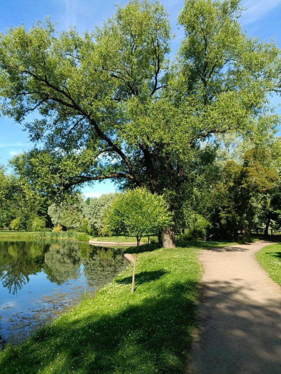 Купаюсь в зелени. Фото.