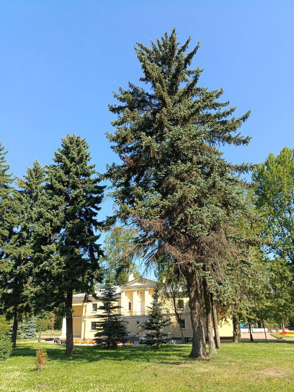 Купаюсь в зелени. Фото.