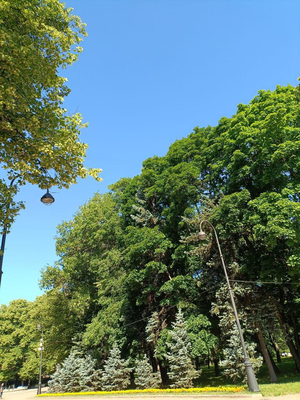 Купаюсь в зелени. Фото.