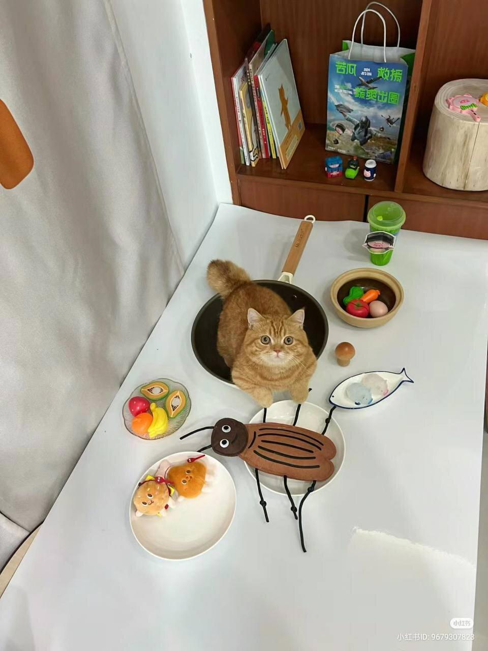 Котики устали работать и тоже хотят на пляж