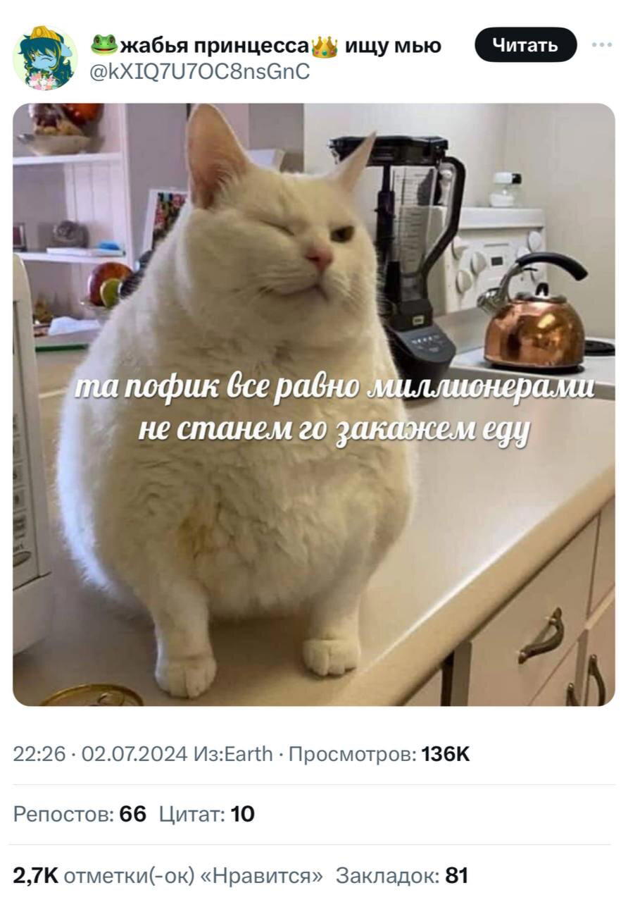 Вся выручка Яндекс Еды держится на этом пофик 😂
