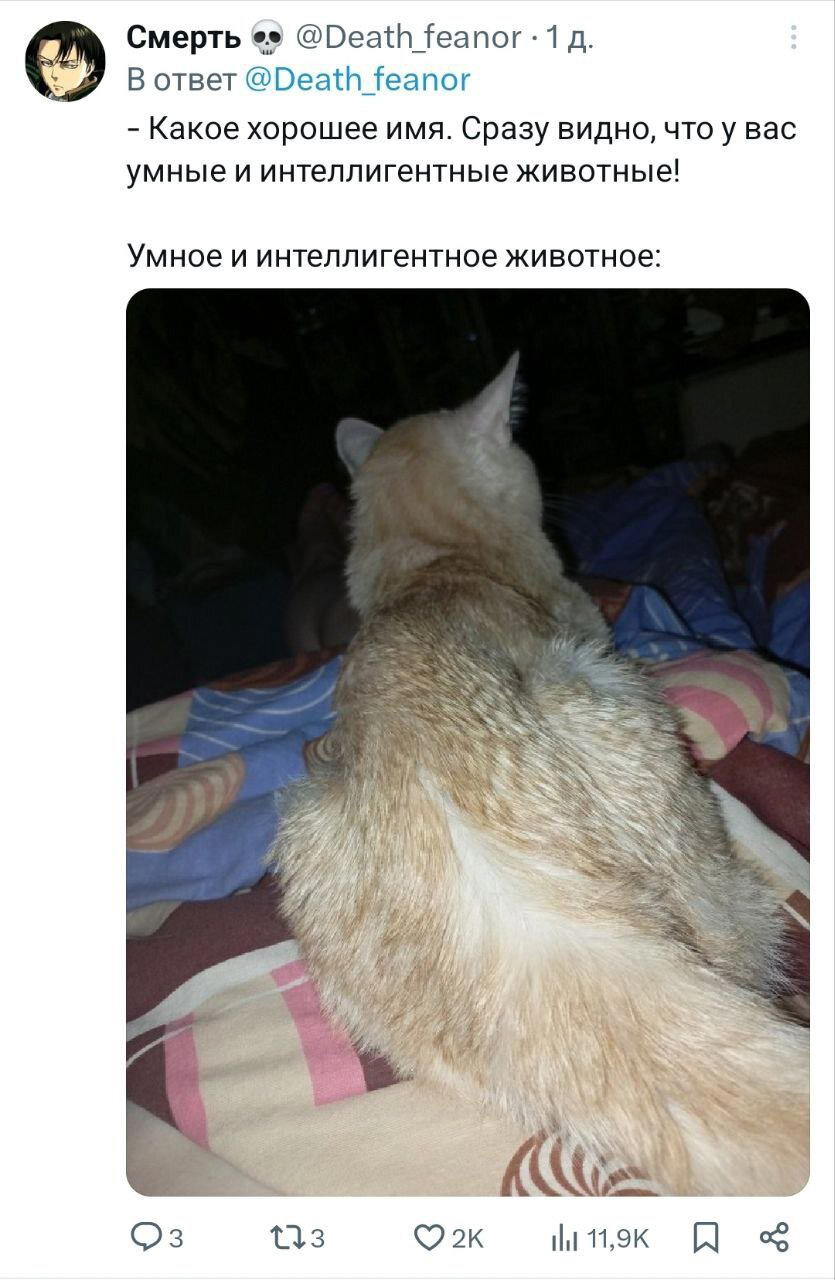 Умное и интеллигентное животное