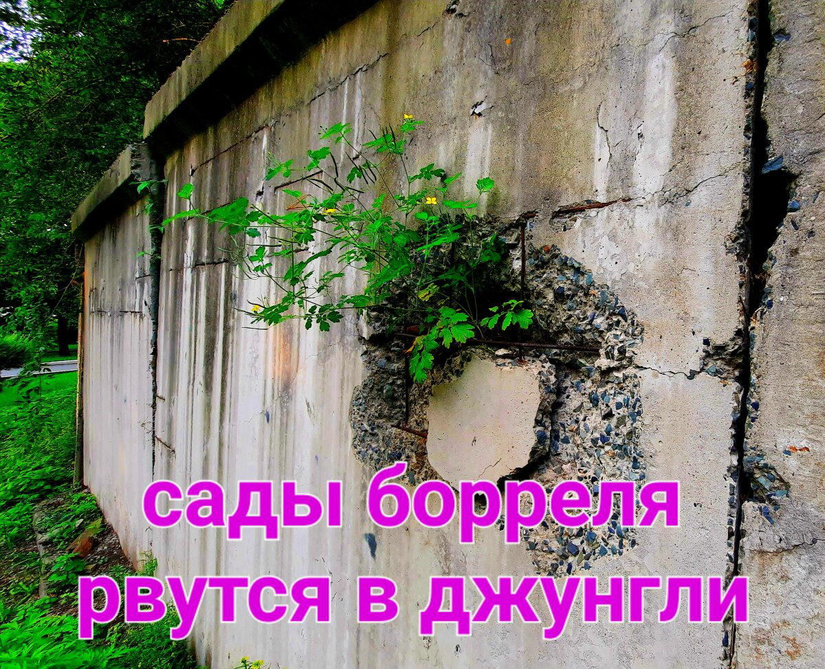 Стена бетонного забора одного санатория во Владивостоке