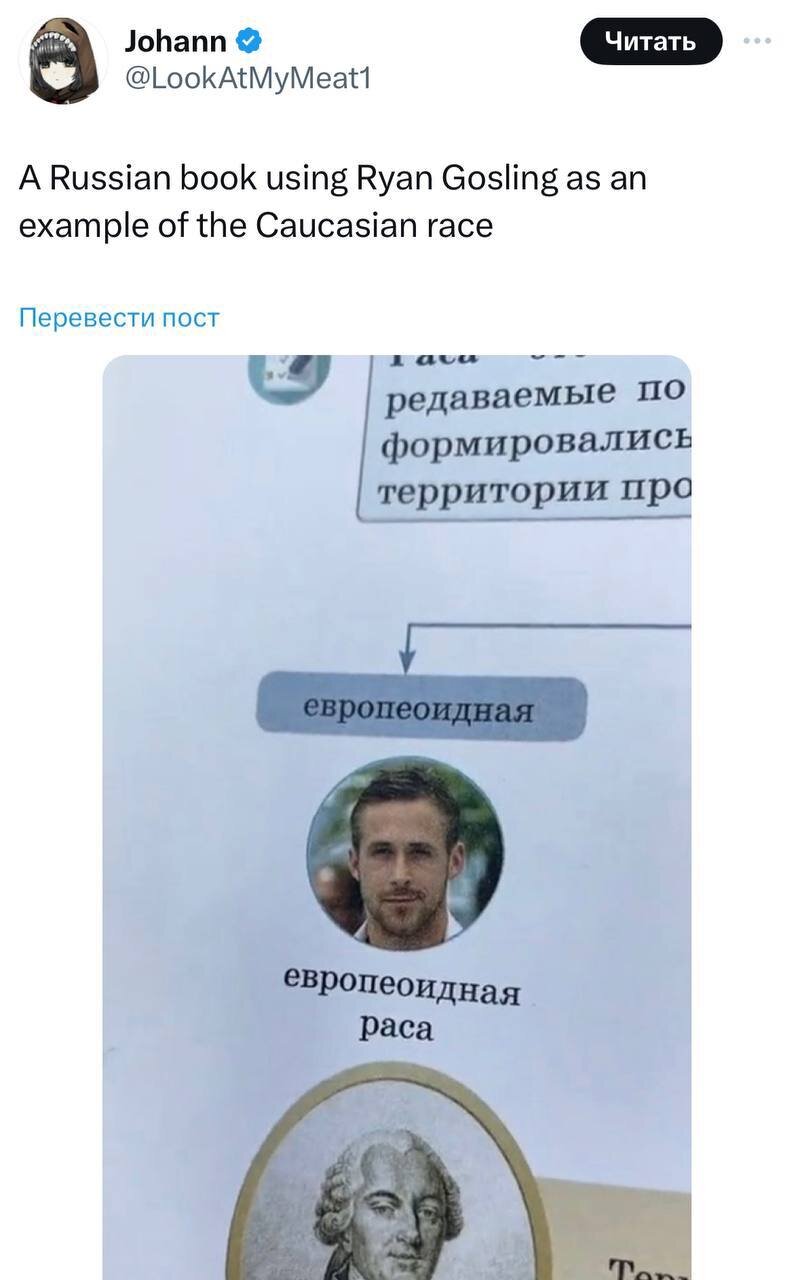 Американцы в шоке, что в российских учебниках используют Райана Гослинга на графике с классификацией рас
