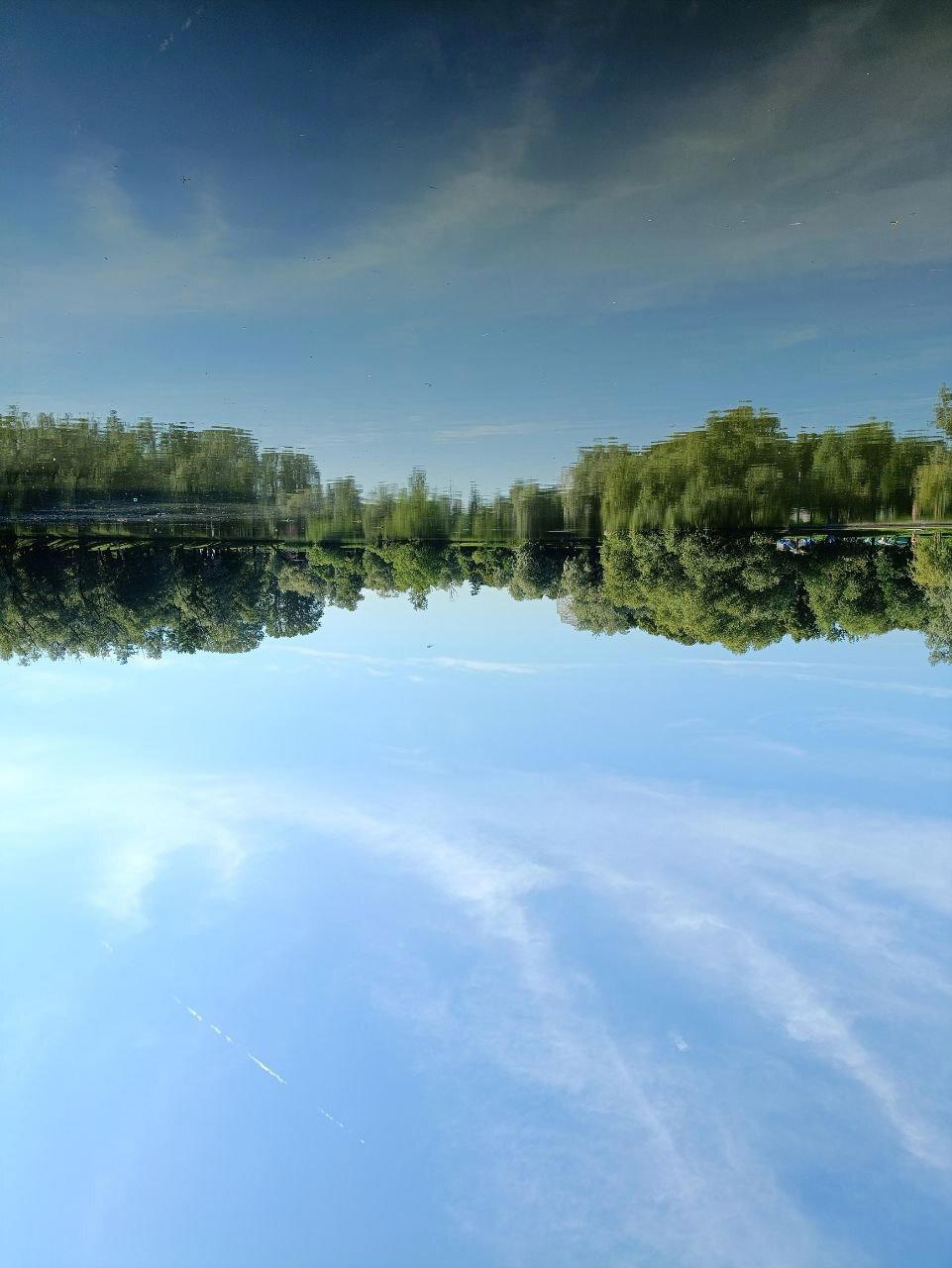 Немного тропиков. Фото.