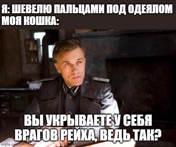 Не шевелите пальцами под одеялом, кошатники