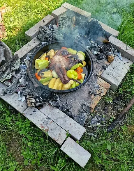 Осьминог из Хорватии