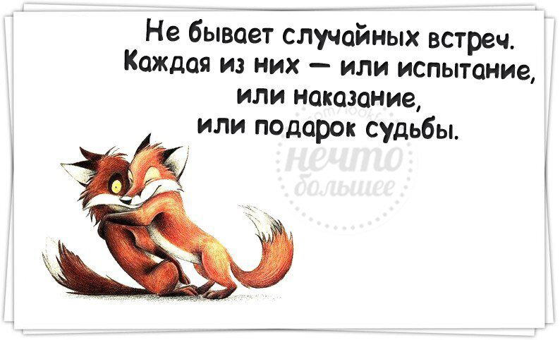 День пяти случайных встреч