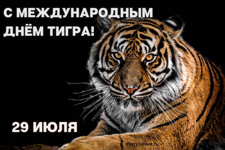 Международный день тигра
