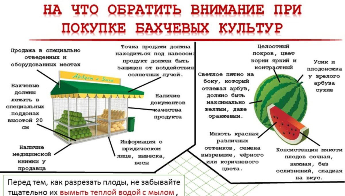 День арбуза
