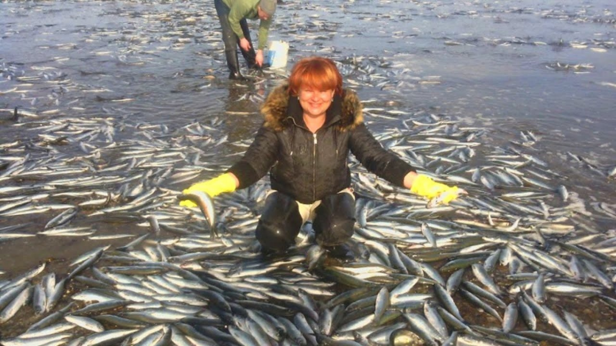 Конкурс на самый счастливый комментарий