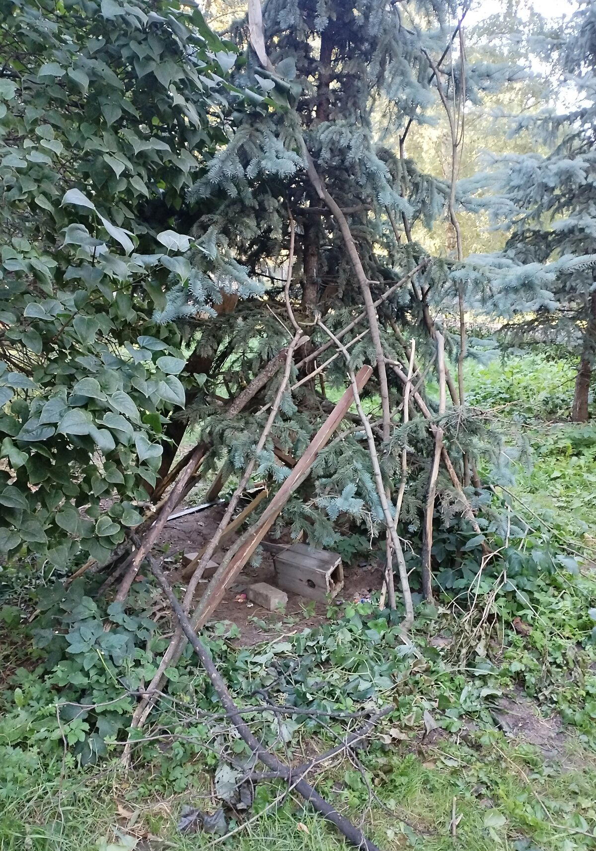 Нет, не потеряно новое поколение<br>