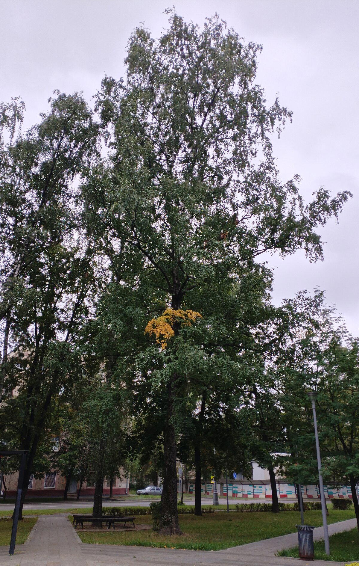 Ветке не хватает питания<br>