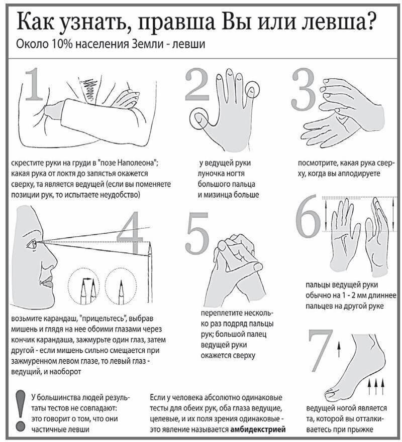 Согласно этому рисунку, я левша. Но до сегодняшнего дня об этом не знала<br>